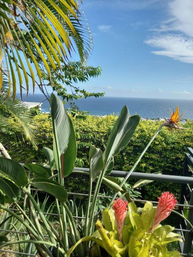 Suite Indigo Jacuzzi Prive Piscine Vue Mer Acces Cuisine Laverie Saint Pierre Buitenkant foto