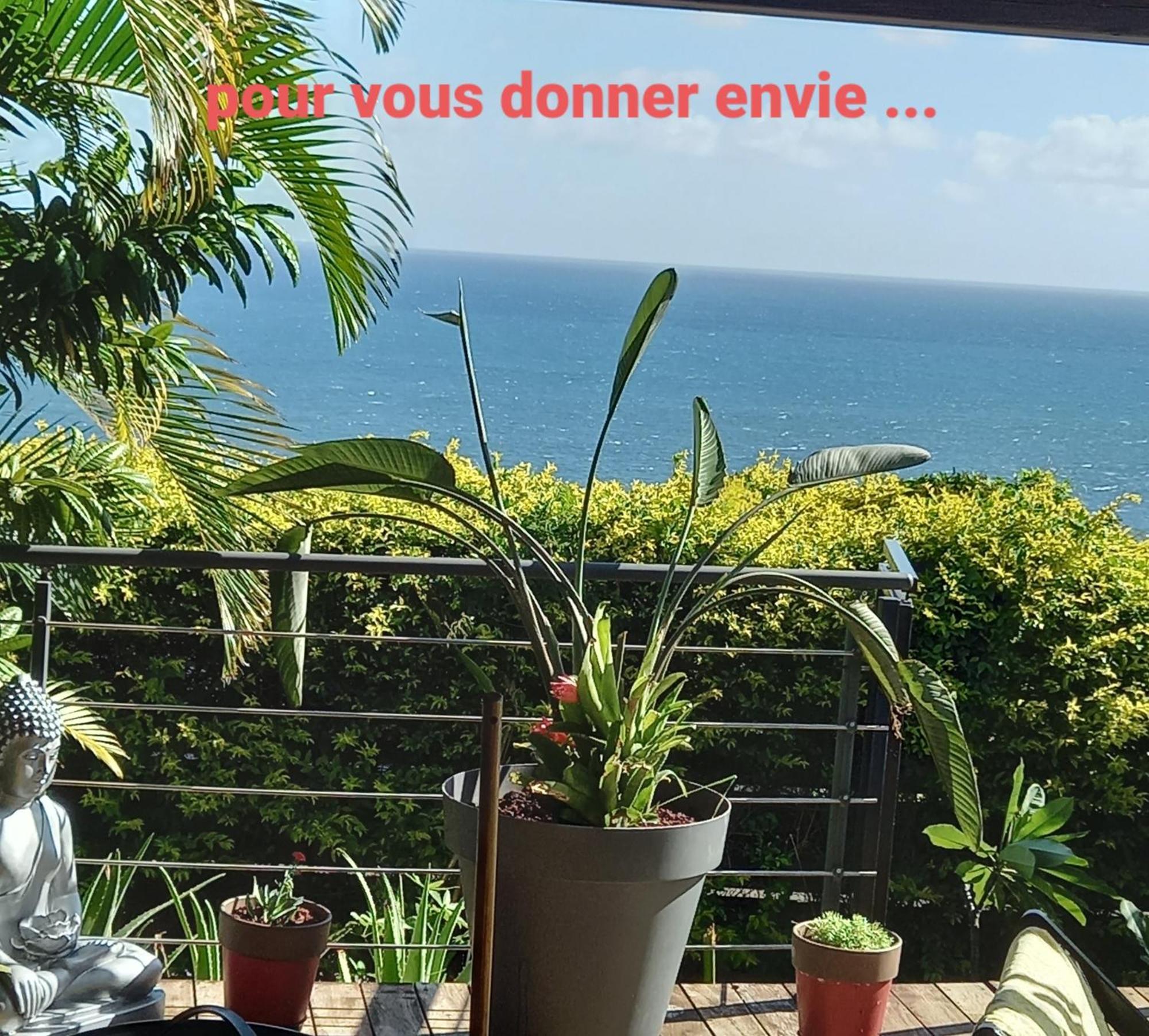 Suite Indigo Jacuzzi Prive Piscine Vue Mer Acces Cuisine Laverie Saint Pierre Buitenkant foto