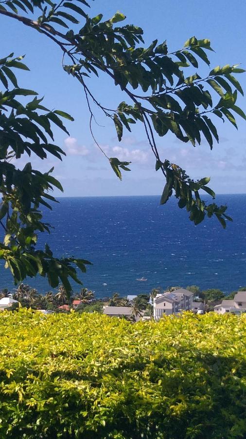 Suite Indigo Jacuzzi Prive Piscine Vue Mer Acces Cuisine Laverie Saint Pierre Buitenkant foto